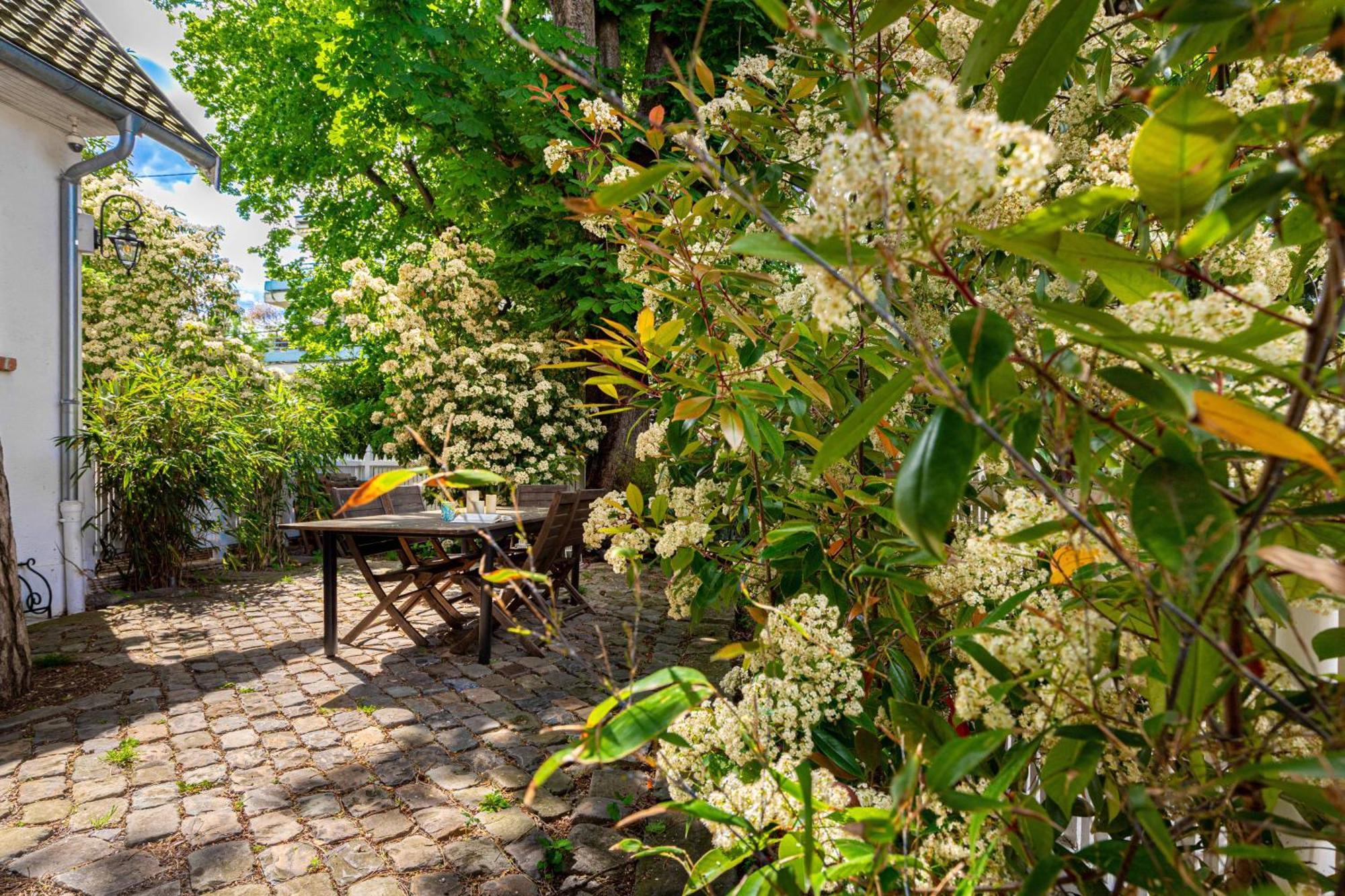 Grand & Classy Apartment With Private Garden, Villa Des Ammonites Meudon Extérieur photo